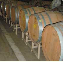 Oregon Wines