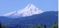 Award Winning Oregon Wines